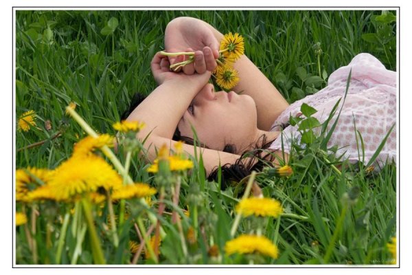 Я лежу на лугу