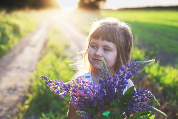 Счастливые дети в деревне