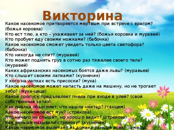 Летняя викторина для детей