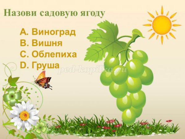 Викторина про лето для детей с ответами