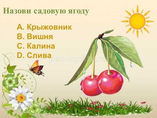 Летняя викторина для детей