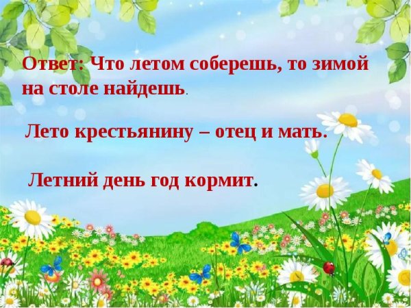 Вопросы о лете