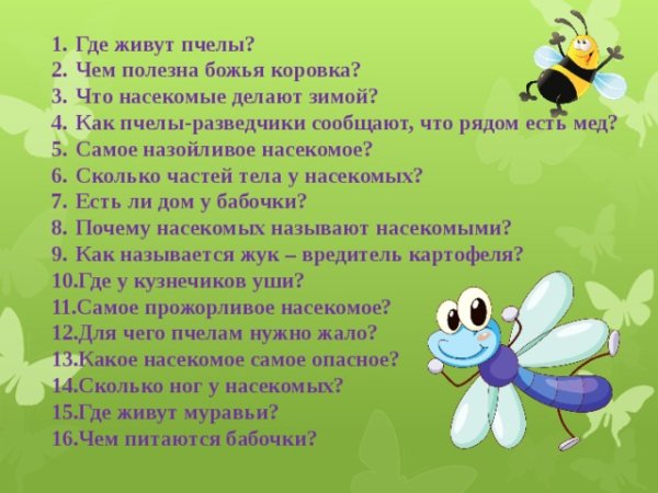 Викторина про насекомых