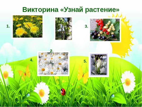 Викторина про растения