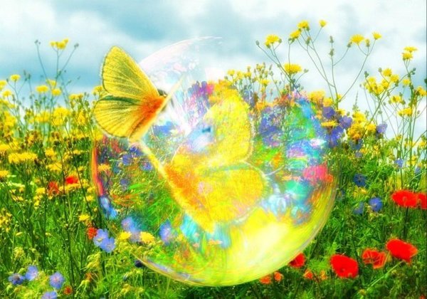 Разноцветное лето