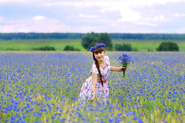 Поле с ромашками и васильками