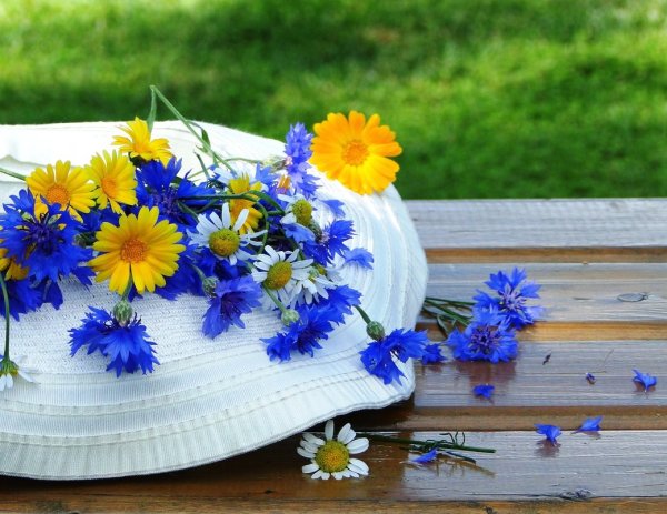 Дарить полевые цветы