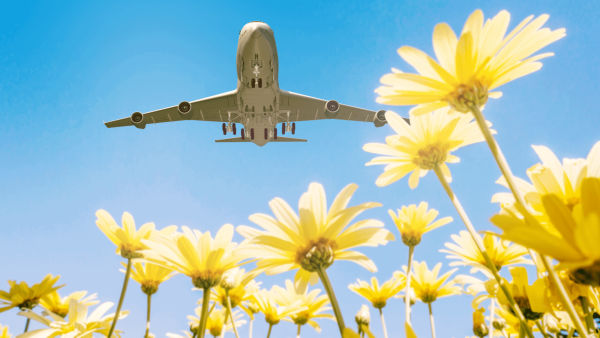 Пляж махо на острове сен-Мартен