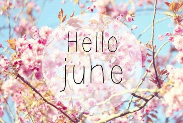Hello Summer quotes