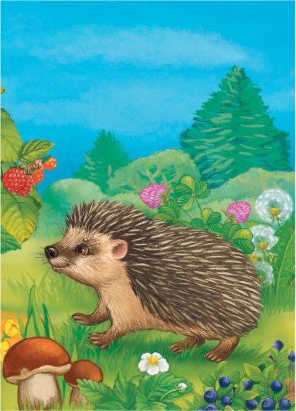 Ежонок в лесу для детей