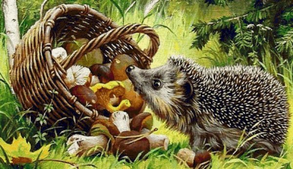 Ежик с ягодами