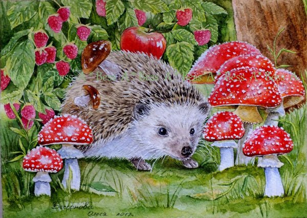 Ежик рисунок