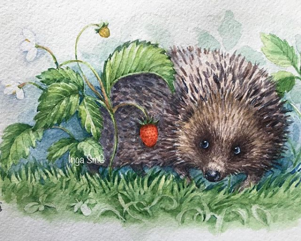 Амурский еж