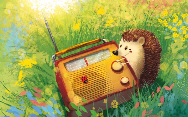 Растение Ежик