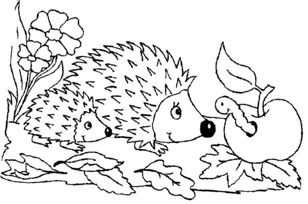 Ежик с грибами