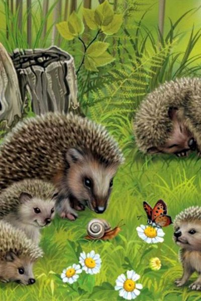 Папа еж и ежонок