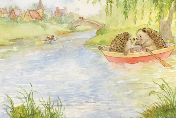 Еж иллюстрация