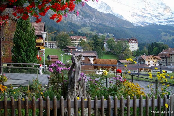 Швейцария горы Альпы