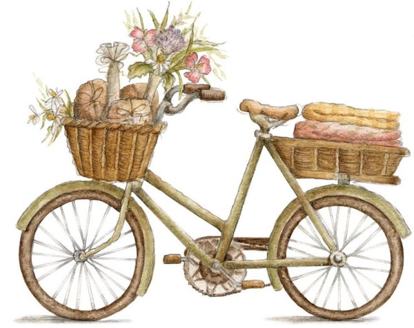 Лето Эстетика