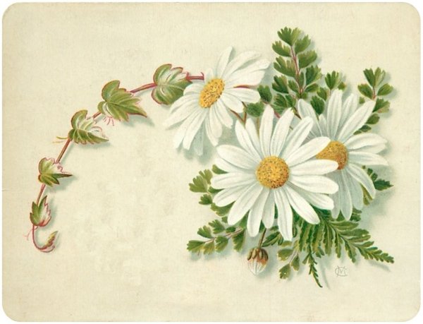 Винтажный велосипед с цветами