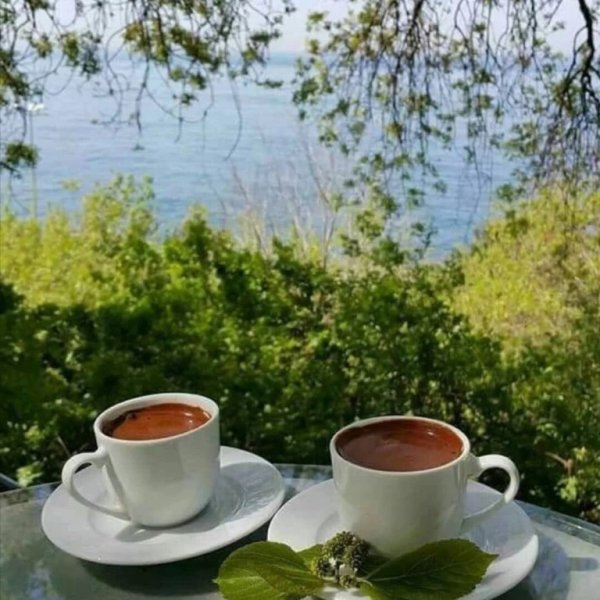 Чай на природе