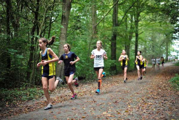 Пробежка в лесу