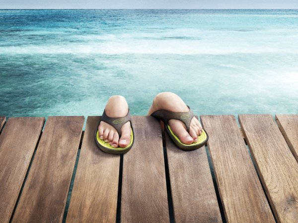 Шезлонг под пальмой