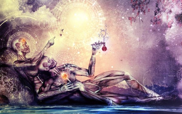 Роб Гонсалвес море