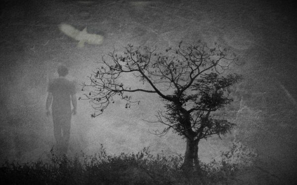 Беляев светопреставление