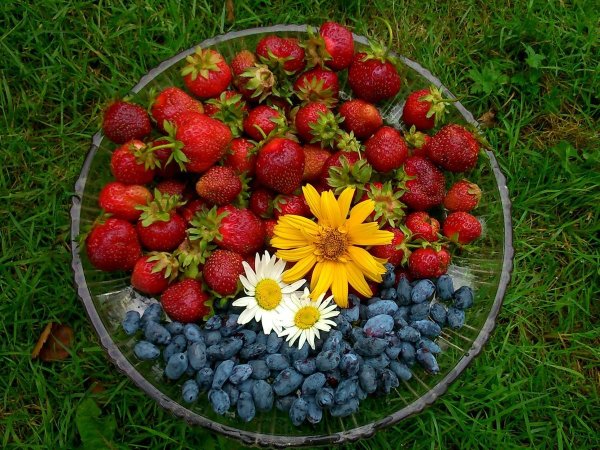 Картинки на рабочий стол лето ягоды