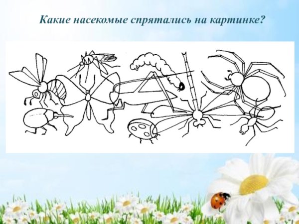 Живая и неживая природа задания для дошкольников