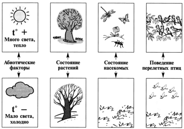 Признаки весны раскраска