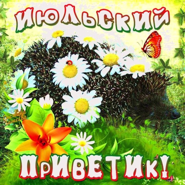 С летом поздравления