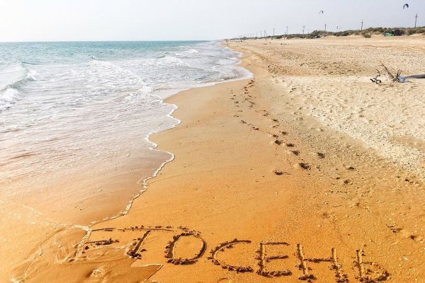 Мои летние каникулы