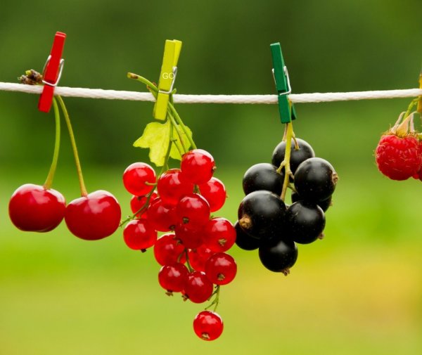 Лето солнечные очки