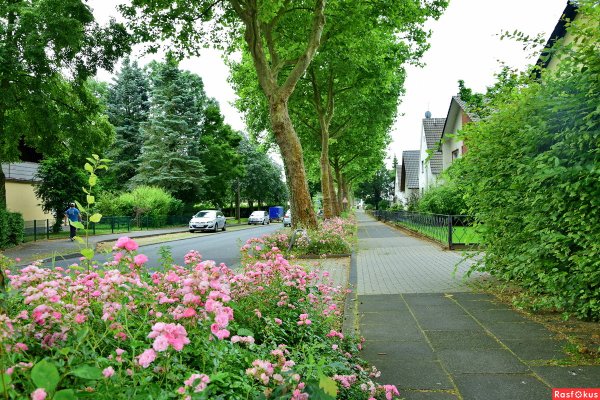 Городские улицы летом