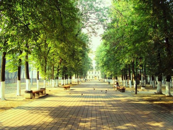 Первомайский бульвар в Ярославле с солнцем