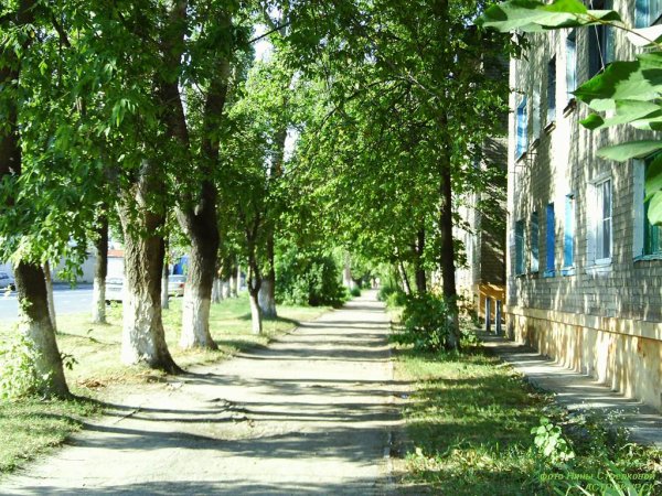 Солнечный летний день в городе