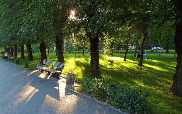 Набережная Волгоград аллея