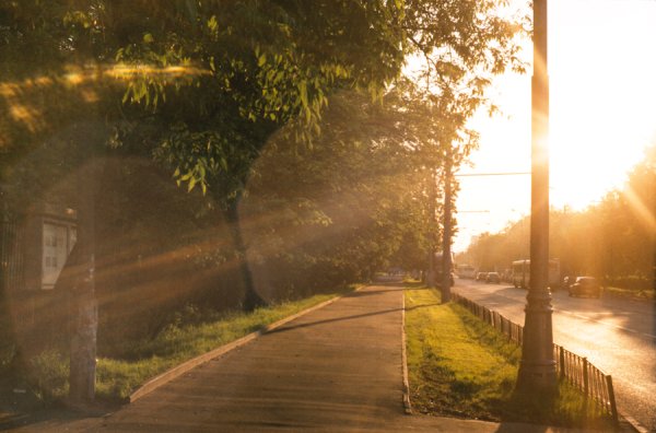 Природа дорога