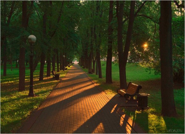 Панорама парк