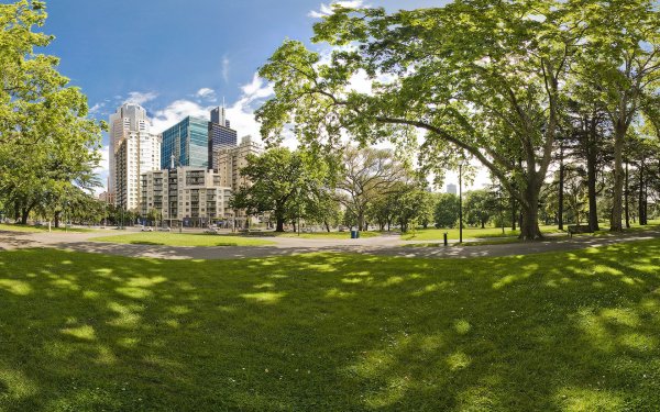 Парк Измайловский проспект