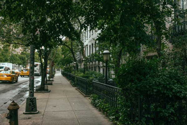 Никитская улица Москва