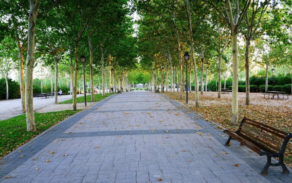 Солнечная улица