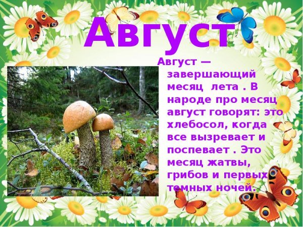 Стихи про летние месяцы