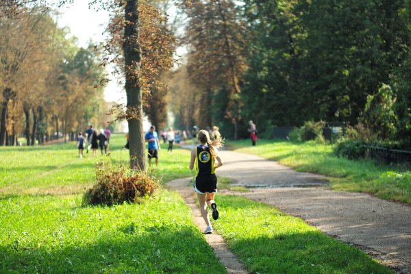 Гулять в парке