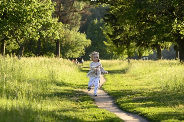 Летние прогулки