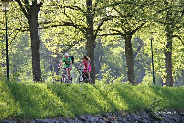 Прогулка в лесу