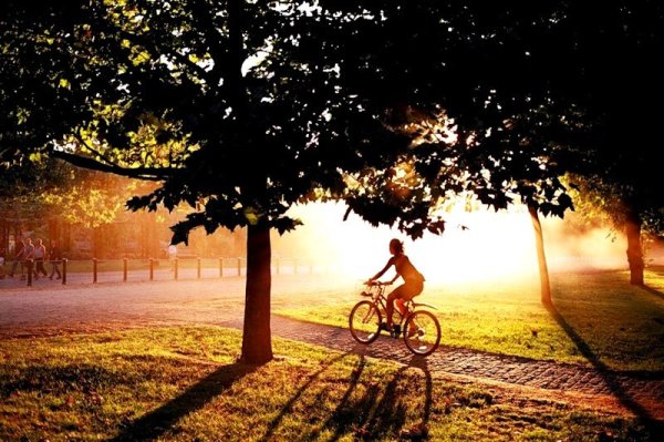 Велосипед летом