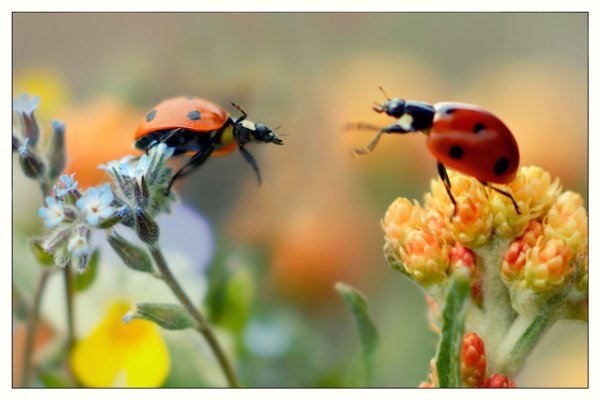 Творческий отпуск